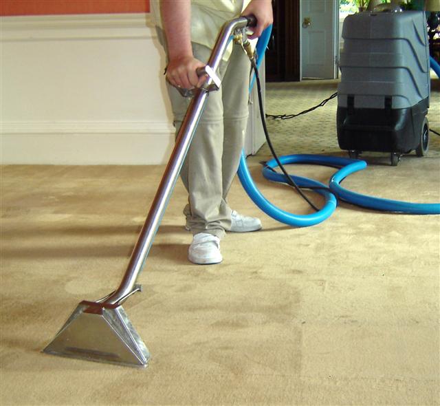 Carpet Cleaner