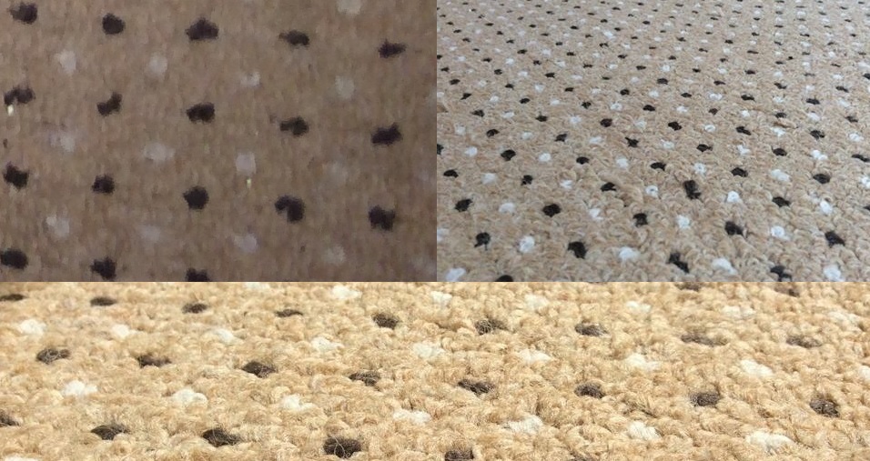 Carpet Cleaning Before After Andy Crawfords Weston super Mare Somerset