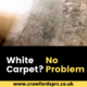 White Carpet Cleaning Weston super Mare Portishead Somerset Deep Clean Steam Cleaning Rugs Carpets Professional Company Experts - 4